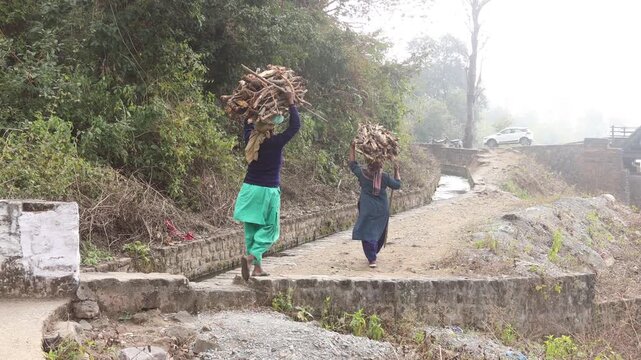Raw 4K footage of women carrying firewood on their heads in a rural Uttarakhand village, showing daily labor, simple living, and poverty in a mountain environment in India.