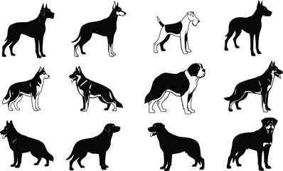 Obraz premium Dog silhouette collection featuring multiple breeds in standing poses isolated on white background for pet animal design and illustration use