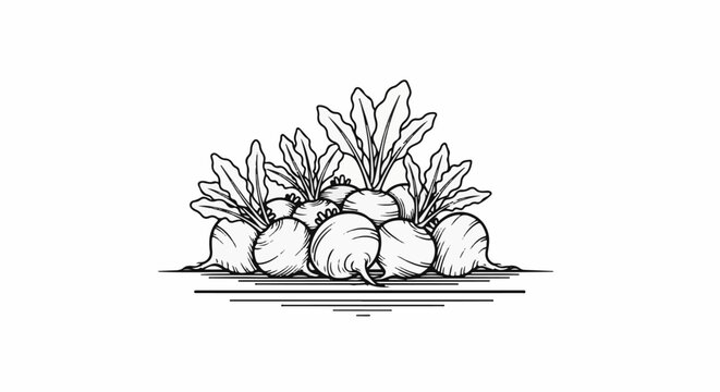 A rustic sketch of root vegetables with leafy tops on a white background