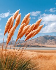 Naklejka premium Pampas grass blowing in the New Zealand highlands with mountains, lake and blue sky