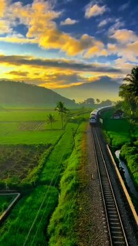A train winds through vibrant green rice paddies under a sky ablaze with golden clouds, capturing a serene journey through lush, tropical landscapes.