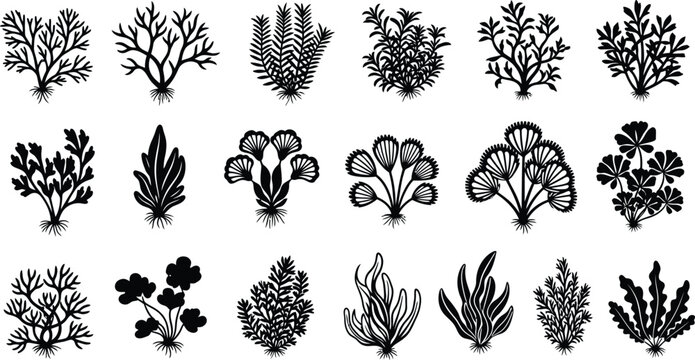 Collection of black silhouette featuring various types of underwater seaweed, aquatic plants, and marine algae with root systems, isolated on a white background