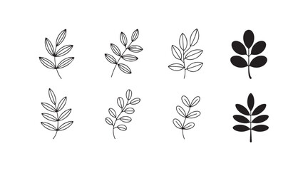 Branch leaves outline and solid fill, nature, botanical elements isolated on transparent background. © Creative_Aminur