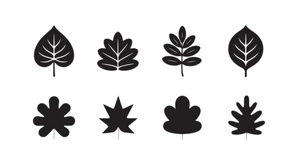 Obraz premium Set of black leaf silhouettes on transparent background for creative botanical nature design project.