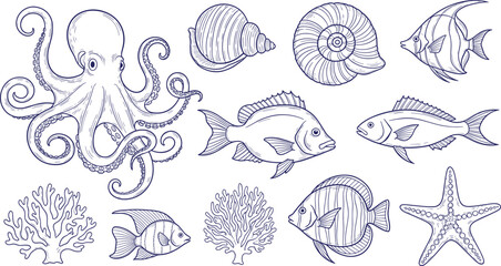Hand drawn marine life illustration set with octopus fish shells coral starfish and ocean wildlife sketch collection © SALMA