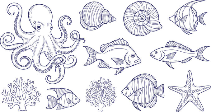 Hand drawn marine life illustration set with octopus fish shells coral starfish and ocean wildlife sketch collection