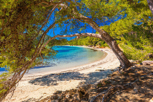 Mallorca Majorca Spain