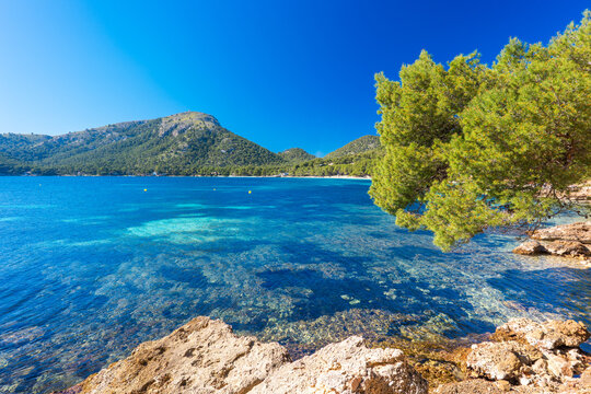 Mallorca Majorca Spain