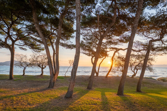 Playa de Muro Mallorca Majorca Spain