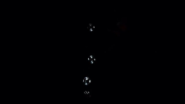 Animated bubbles on a black background.