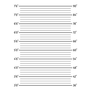 Police lineup height chart backdrop for mugshot photography. Height scale for crime-themed design projects, legal infographics, and cinematic promotional materials