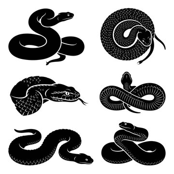 Black and white vector silhouette  set of Death Adder