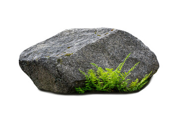 Natural granite boulder with green forest fern isolated on white. © fotomaster