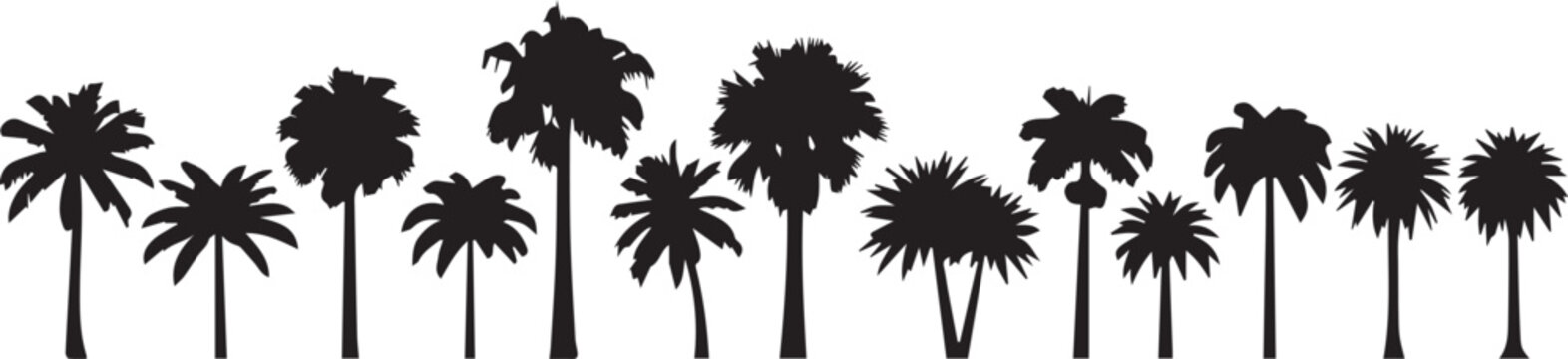 Tropical Palm Tree Silhouette Border Vector