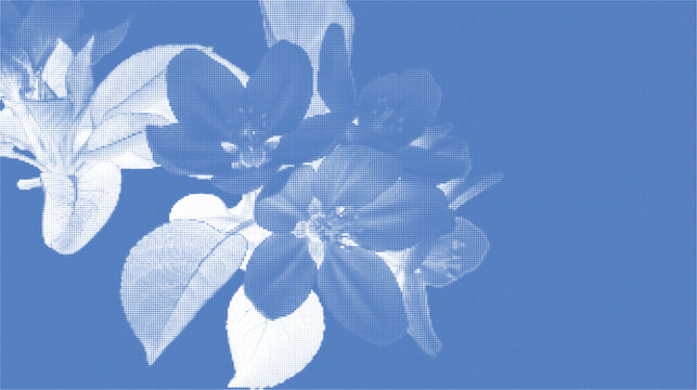 A blue and white cyanotype floral design with leaves on a solid blue background in a halftone style perfect for template and graphic design project.