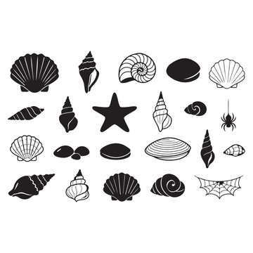 Seashell and Starfish Black Silhouette Icon Set &mdash; Flat Vector Collection of Ocean Shell, Scallop, Conch, Nautilus and Sea Star for Beach Branding, Coastal D&eacute;cor and Marine Design