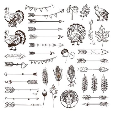 Thanksgiving autumn fall turkey feathers.