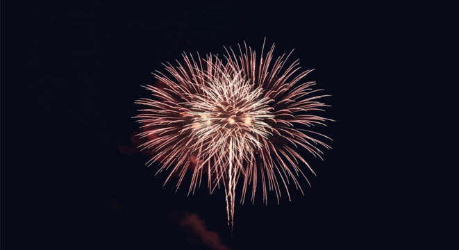 A large golden and warm white firework explosion in a spherical chrysanthemum shape bursting against a solid black night sky with visible glowing trails and bright central core.