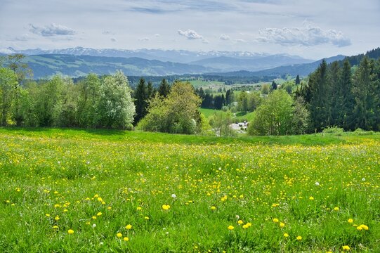 Scheidegg im Allg&auml;u