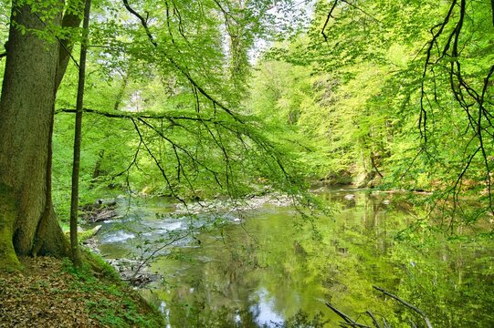 Fluss Argen im Allg&auml;u nahe Wangen