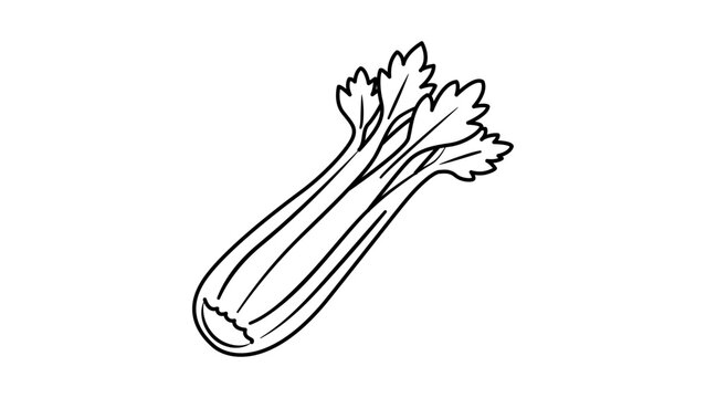 Elegant hand-drawn celery stalk vector icon illustration isolated on white. High-quality food graphic with editable stroke and customizable line weight perfect for minimalist culinary branding.