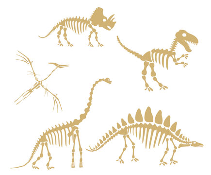 Dinosaur skeletons set. Silhouette of dinosaur skeletons, dinosaur bones. Diplodocus, Tyrannosaurus rex, Triceratops, Centrosaurus, Pterodactyl. Modern design image isolated on white