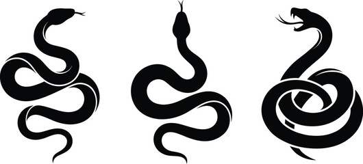 Fototapeta premium Professional Snake Silhouettes Set Featuring Coiled Serpentine Reptiles in Various Poses for Wildlife Nature Predator and Tattoo Graphic Design Concepts