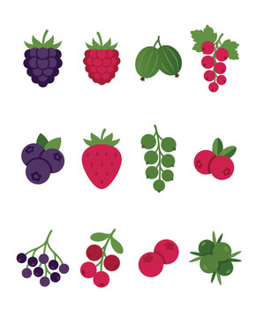 Assorted Fresh Berries Collection.