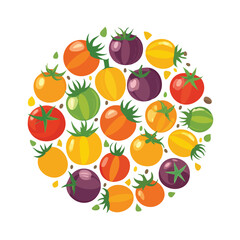 Obraz premium Colorful tomato variety arranged in a circular pattern on white background