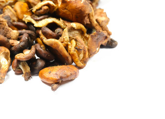 Obraz premium Fresh forest manipur mushroom(uyen) isolated on white background.Shiitake mushroom (Lentinula edodes) often dried and used in Manipuri cuisine for dishes like Eromba (chutney) and Kanghou (stir-fry).