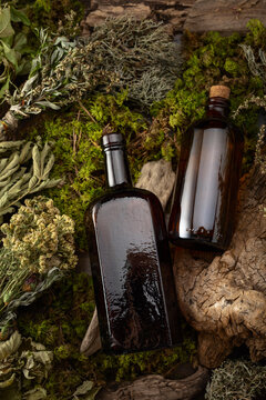 Vintage bottles with tinctures and various dried herbs.