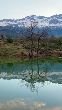 Panoramic landscape view of a peaceful lake, forest, and snowy peaks