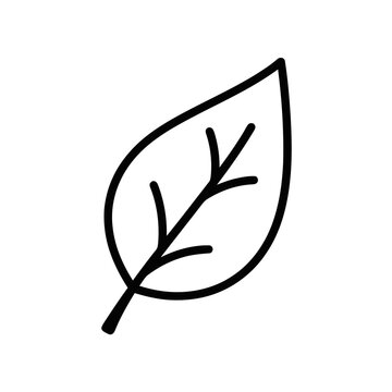 Simple black line leaf illustration.