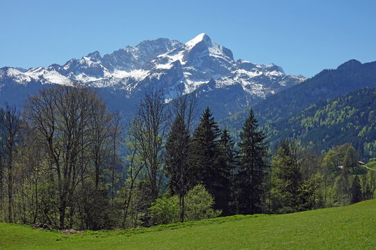 Blick von Hintergraseck auf Alpspitze und Hochblassen
