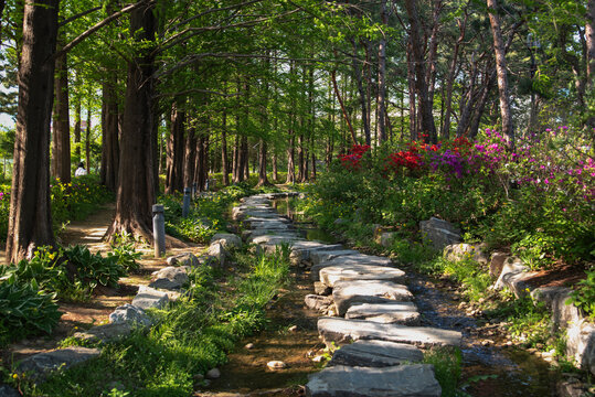 양평 새미원 봄풍경, Yangpyeong Saemiwon spring scenery