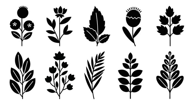 Collection of Black Silhouette Botanical Elements, Vector Floral Illustrations