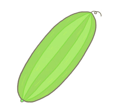 R:もっとメルヘンな野菜 ヘチマ①