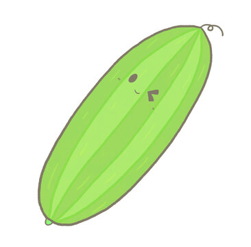 R:もっとメルヘンな野菜 ヘチマ③