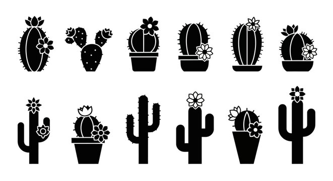 Set of Cactus Icons with Flowers, Vector Illustrations
