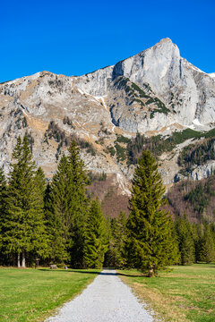 Zinken - Hochschwab Gebiet - Steiermark - &Ouml;sterreich - Fr&uuml;hling