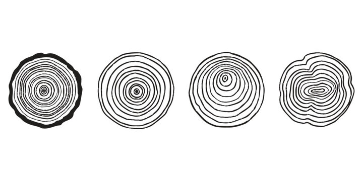 Set of hand drawn tree rings showing wood texture patterns in a simple black and white line art style