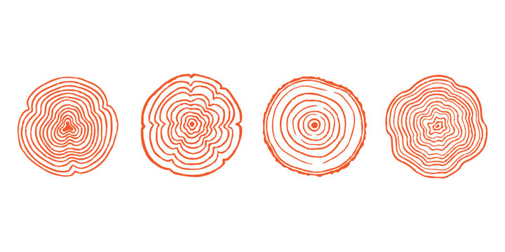 Set of four colorful tree ring patterns showing organic wood grain circles