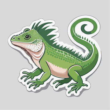 Green Iguana Illustration