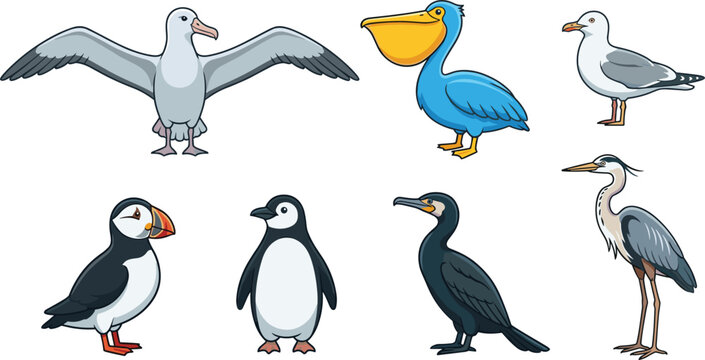 Seabirds Collection Vector Set with Pelican Seagull Puffin Penguin Cormorant Heron and Albatross Cartoon Wildlife Illustrations Isolated on White Background