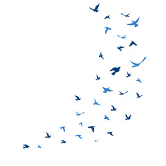 Fototapeta premium World Migratory Bird Day, Flock of Birds Flying