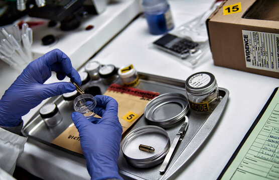 A police ballistics expert is examining bullets of different calibres linked to a murder