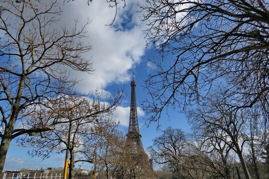 Tour Eiffel, branches d'arbres en hiver, ciel bleu. Paris, France.
