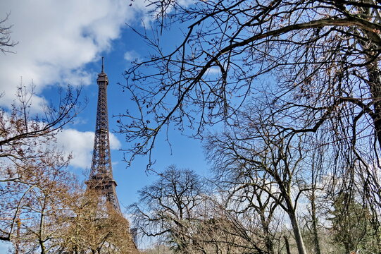 Tour Eiffel, branches d'arbres en hiver, ciel bleu. Paris, France.