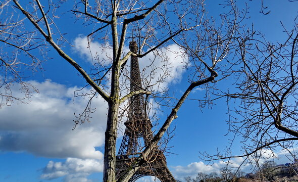 Tour Eiffel, branches d'arbres en hiver, ciel bleu. Paris, France.