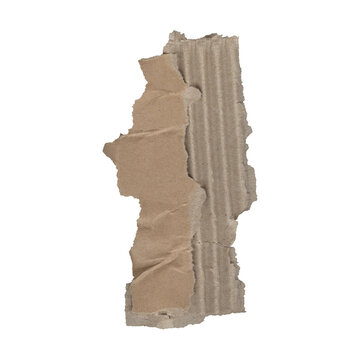 Abstract torn cardboard edge with visible corrugation detail